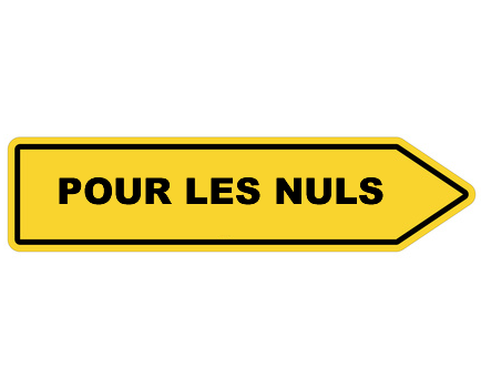 Investissement immobilier locatif pour les nuls : Denormandie, Malraux, Loc'Avantages, Jeanbrun...