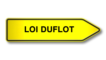 Loi Duflot : adoption de l'article instaurant un contrat type