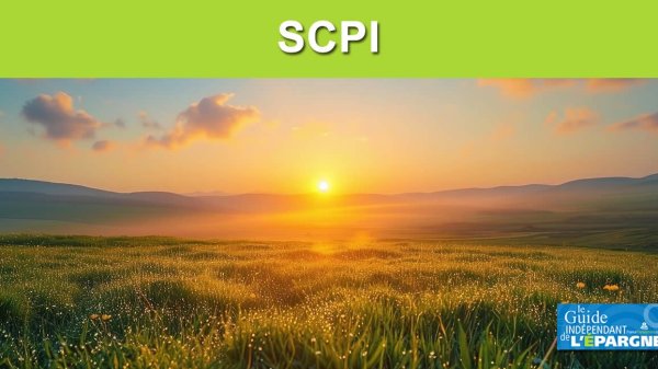 SCPI Cristal Life : le rendement 2024 attendu en hausse à 6.50%