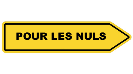 Investissement immobilier locatif pour les nuls : Denormandie, Malraux, Loc'Avantages, Jeanbrun...